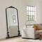 Arched Full Length Mirror Vintage Carved Mirror Iron Frame Wall Mirror